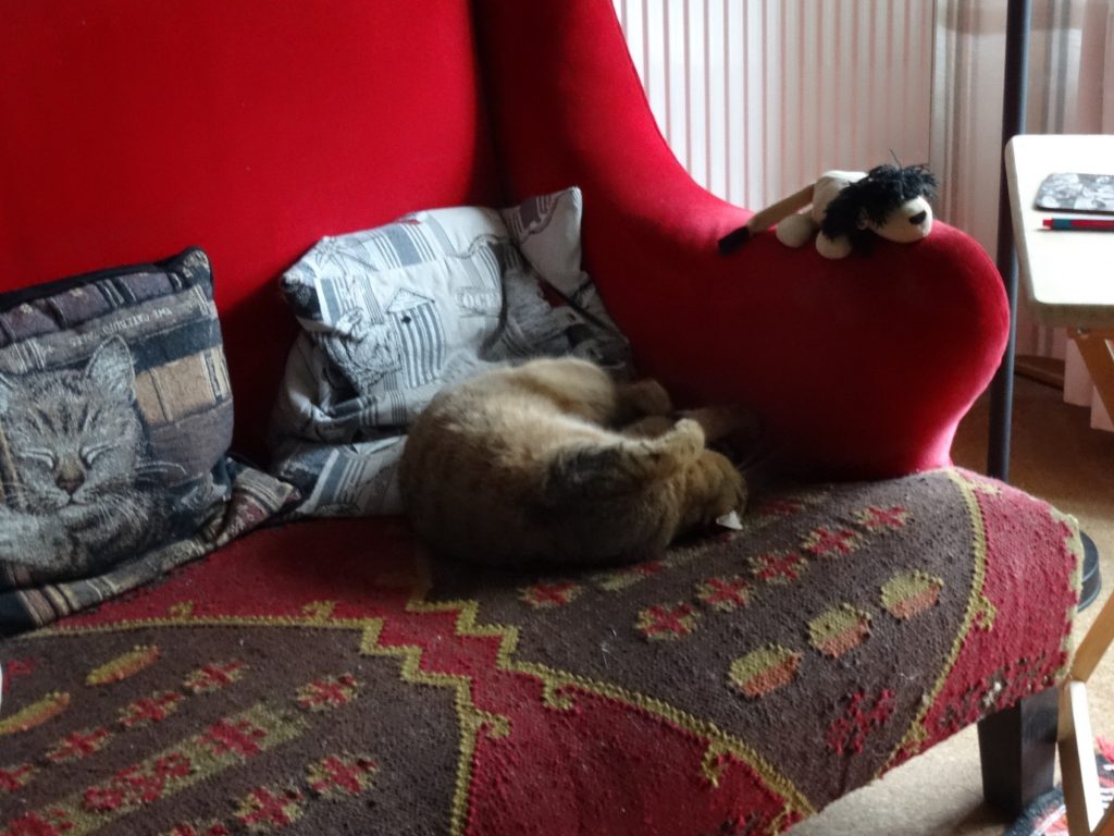 Was hat der Bibliothekar 2025 gelesen ?